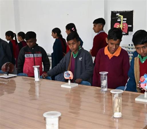 Anikait, Class 11th, Army Goodwill School Murgund.